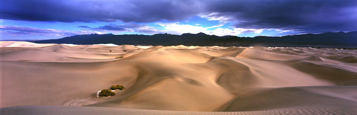 Panorama Landscape Photography After the First Rain, Mesquite Flat Sand Dunes, Death Valley